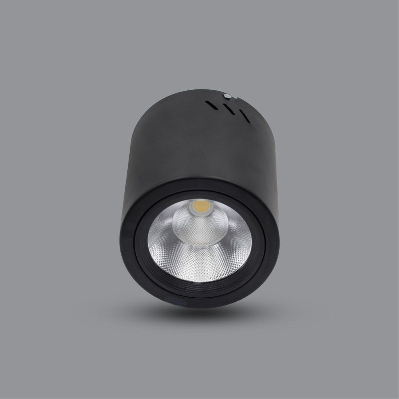 Den-LED-Downlight-30W-gan-noi-PSDOO230L30-3