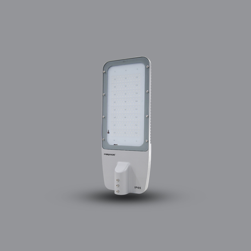 Den-duong-LED-PSTM240L-1