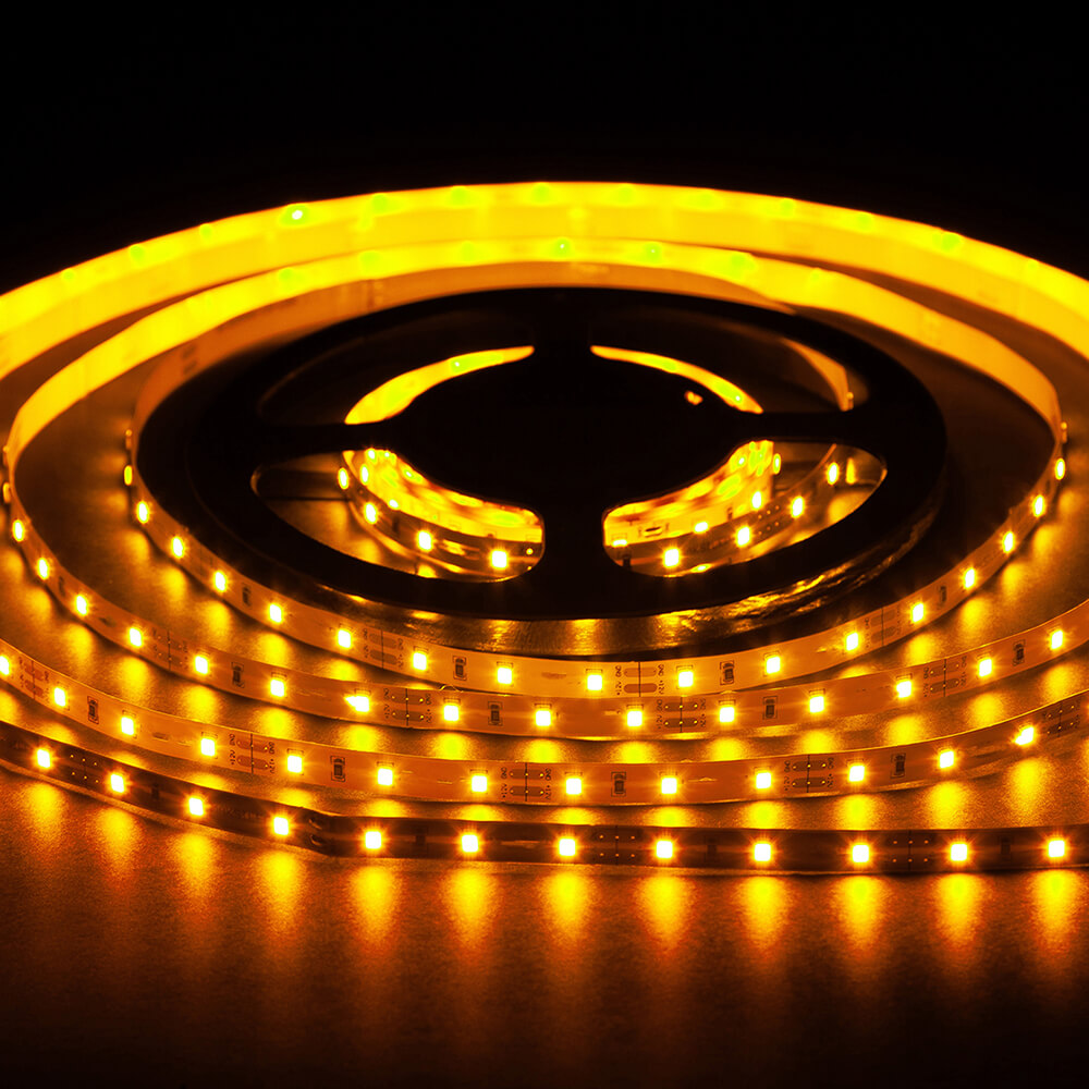 1572637537-shutterstock_1572637537