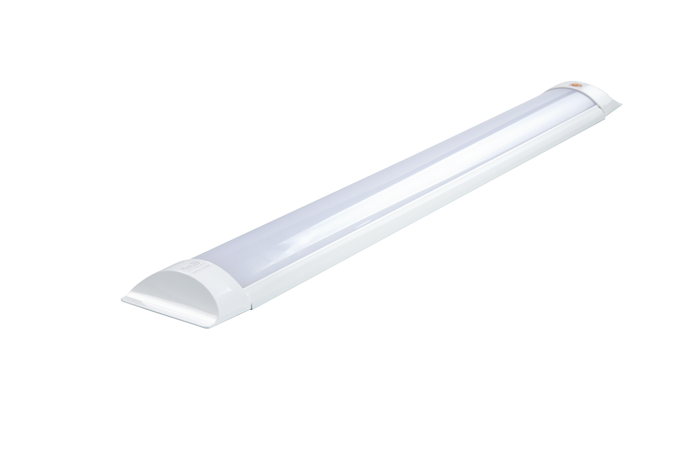 KEM_3612-elink-e1617094403191